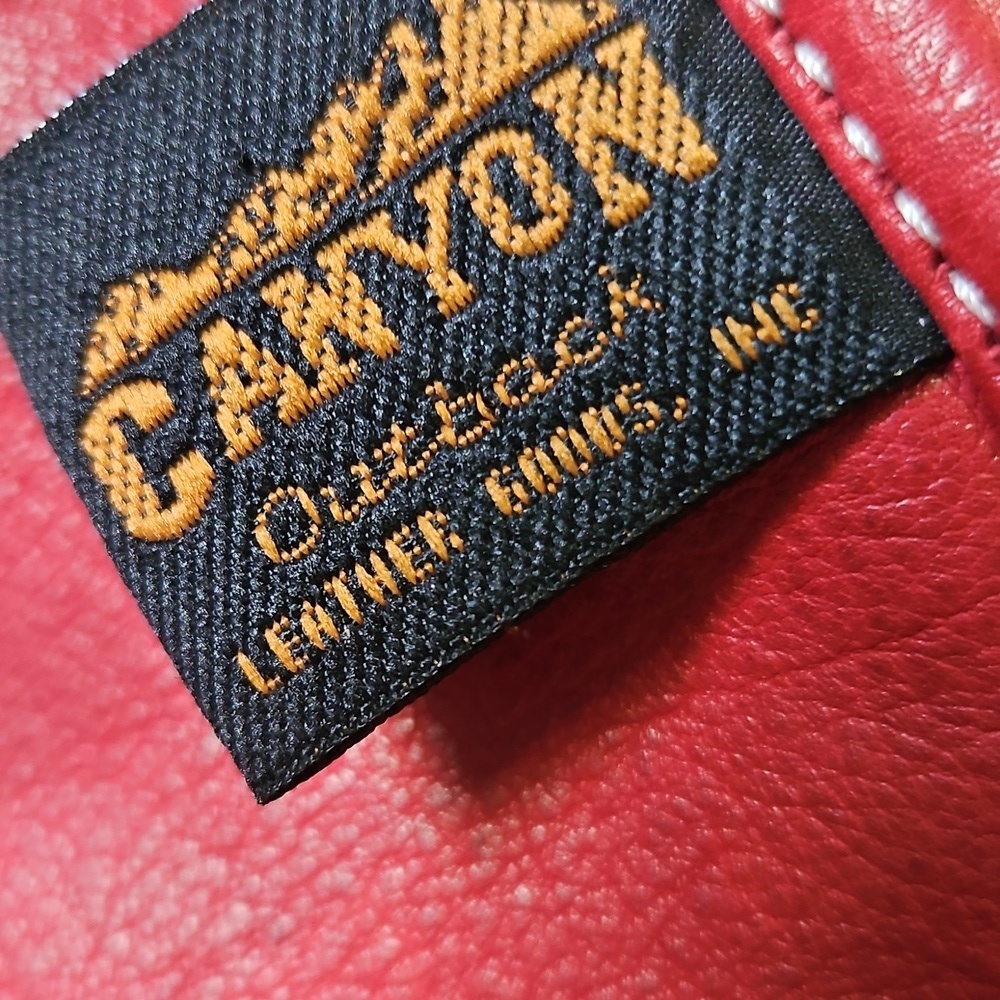 Red Canyon Outback Leather Brief Arkansas Razorbacks - Picture 2 of 16